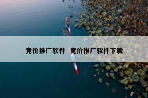 竞价推广软件  竞价推广软件下载