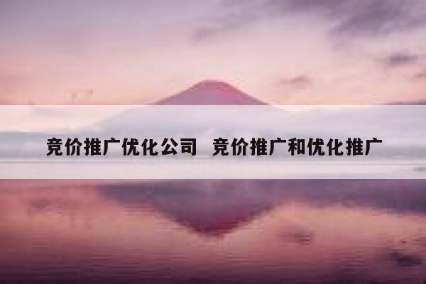 竞价推广优化公司  竞价推广和优化推广