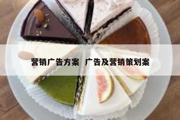 营销广告方案  广告及营销策划案