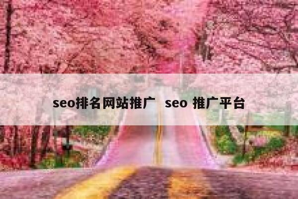 seo排名网站推广  seo 推广平台