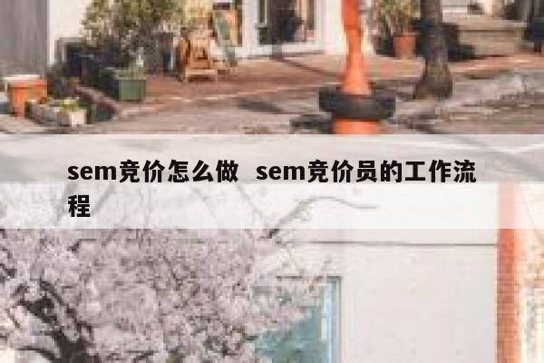 sem竞价怎么做 sem竞价员的工作流程 第1张 sem竞价怎么做 sem竞价员的工作流程 第1张