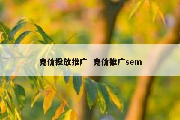 竞价投放推广  竞价推广sem