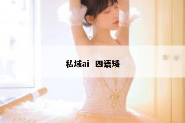 私域ai  四语矮 第1张