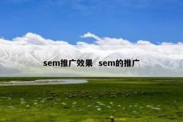 sem推广效果  sem的推广