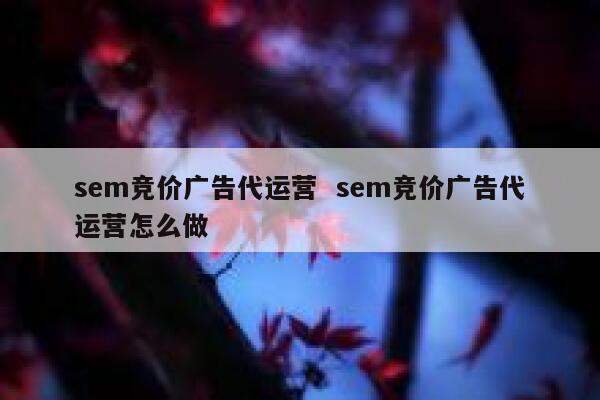 sem竞价广告代运营  sem竞价广告代运营怎么做