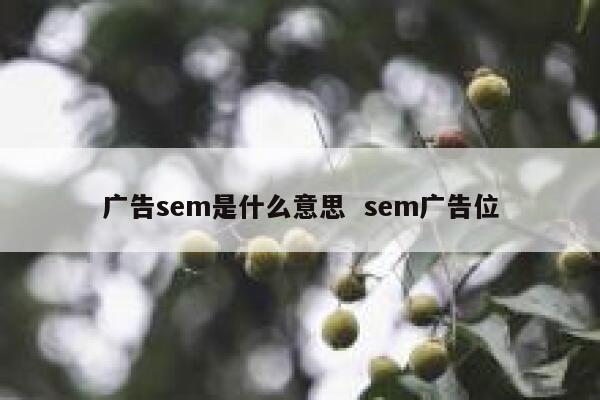 广告sem是什么意思  sem广告位
