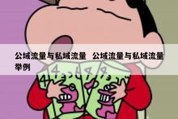 公域流量与私域流量  公域流量与私域流量举例 第1张