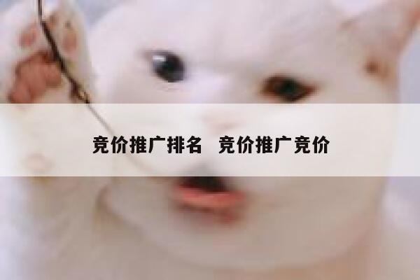 竞价推广排名  竞价推广竞价