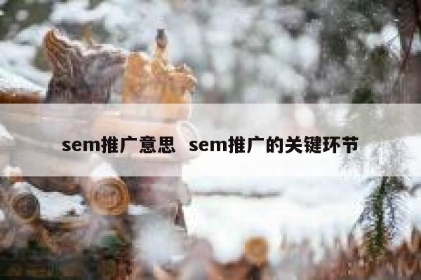 sem推广意思  sem推广的关键环节 第1张