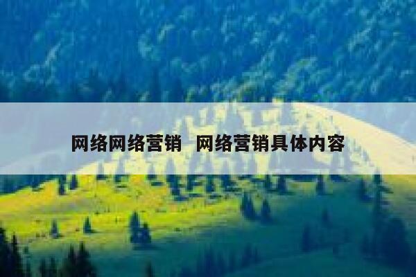 网络网络营销  网络营销具体内容
