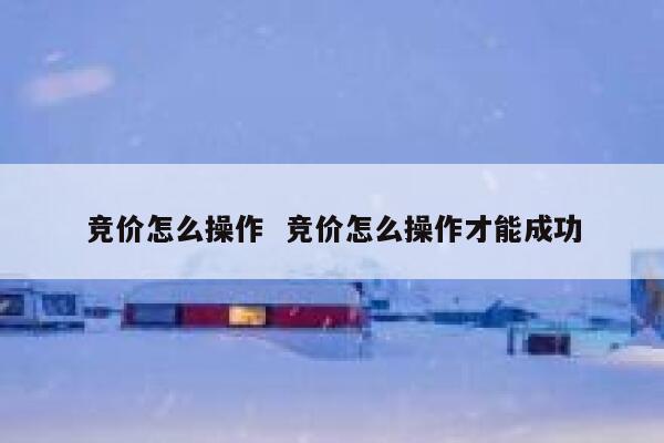 竞价怎么操作  竞价怎么操作才能成功