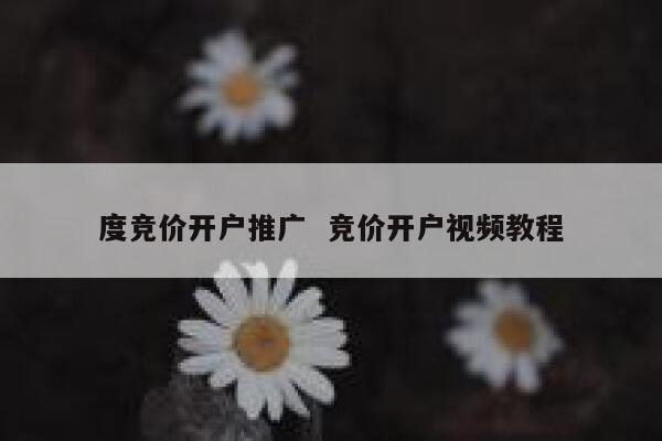 度竞价开户推广  竞价开户视频教程 第1张
