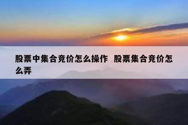 股票中集合竞价怎么操作  股票集合竞价怎么弄 第1张