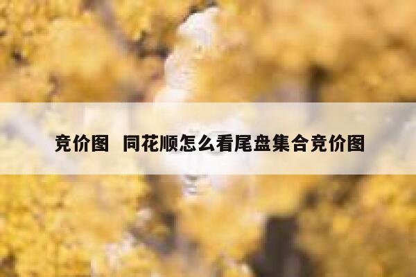 竞价图  同花顺怎么看尾盘集合竞价图 第1张