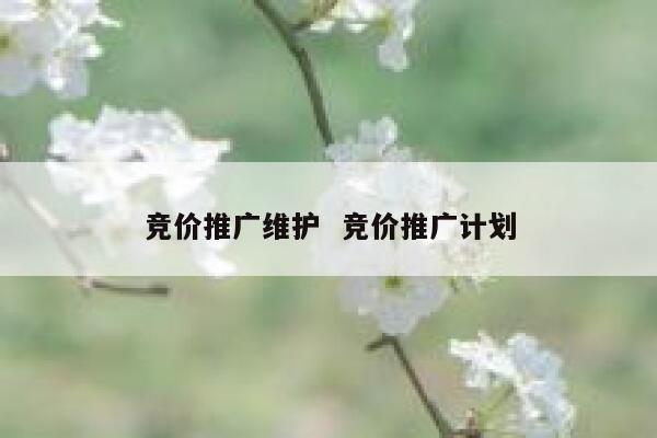 竞价推广维护  竞价推广计划