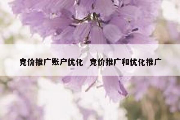 竞价推广账户优化  竞价推广和优化推广