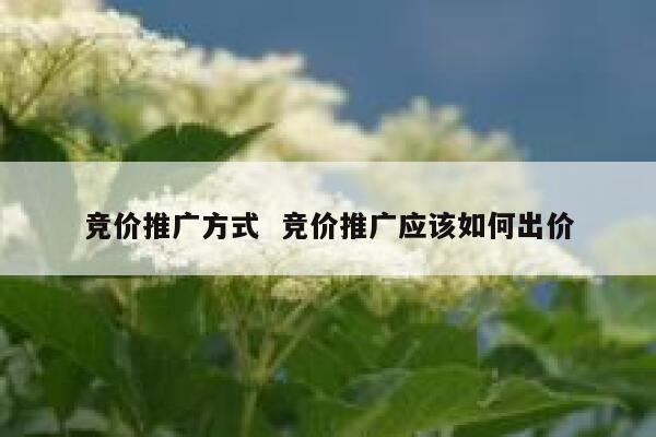 竞价推广方式  竞价推广应该如何出价