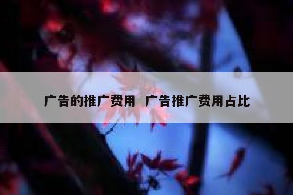广告的推广费用  广告推广费用占比