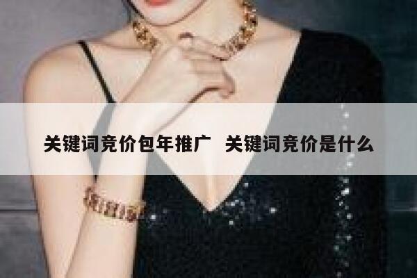 关键词竞价包年推广  关键词竞价是什么