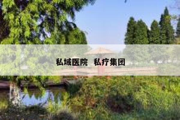 私域医院  私疗集团