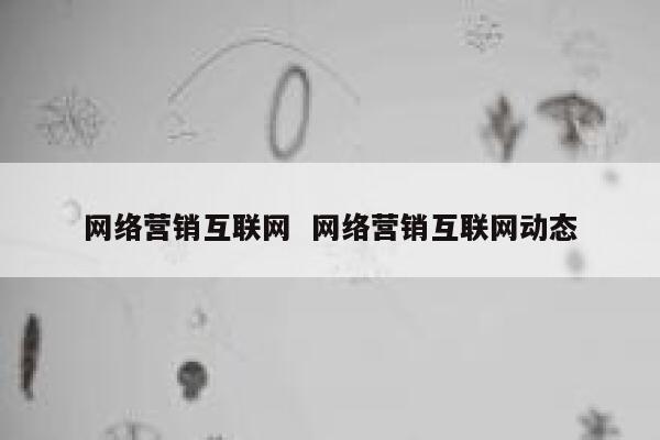 网络营销互联网  网络营销互联网动态