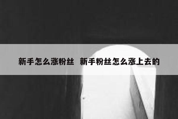 新手怎么涨粉丝  新手粉丝怎么涨上去的