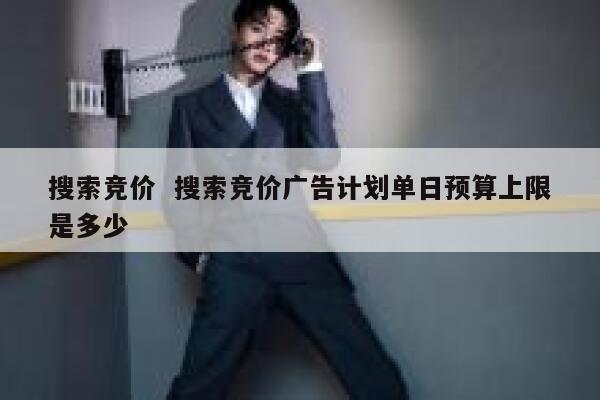 搜索竞价  搜索竞价广告计划单日预算上限是多少