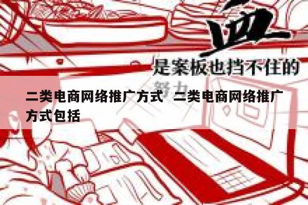 二类电商网络推广方式  二类电商网络推广方式包括