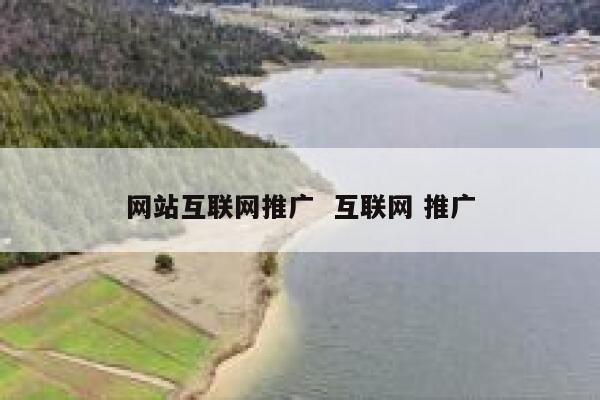 网站互联网推广  互联网 推广