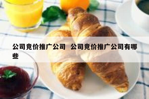 公司竞价推广公司  公司竞价推广公司有哪些