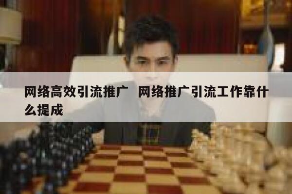 网络高效引流推广  网络推广引流工作靠什么提成