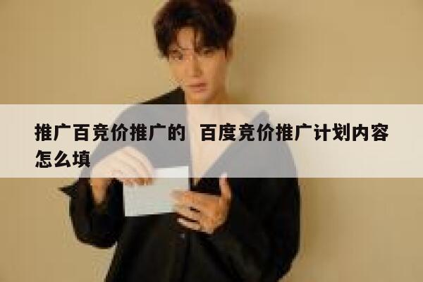 推广百竞价推广的  百度竞价推广计划内容怎么填