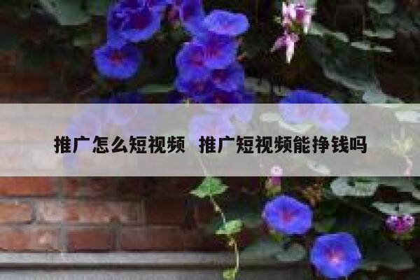 推广怎么短视频  推广短视频能挣钱吗