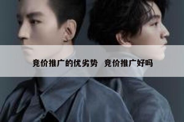 竞价推广的优劣势  竞价推广好吗