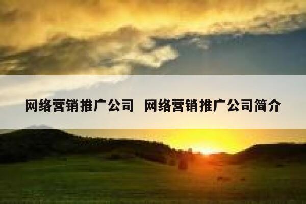 网络营销推广公司  网络营销推广公司简介