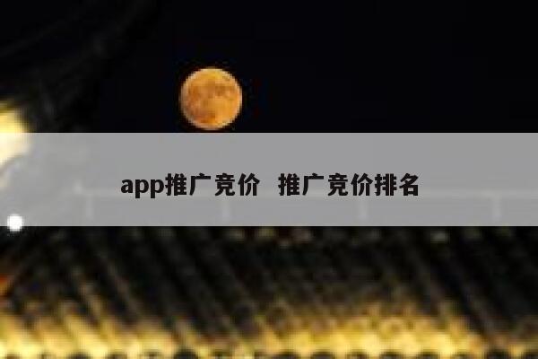 app推广竞价  推广竞价排名
