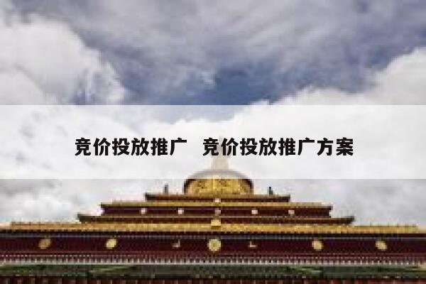 竞价投放推广  竞价投放推广方案