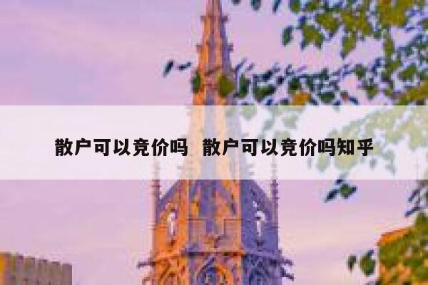 散户可以竞价吗  散户可以竞价吗知乎