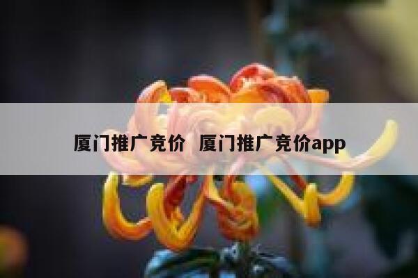 厦门推广竞价  厦门推广竞价app