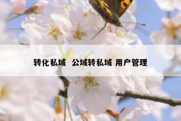 转化私域  公域转私域 用户管理