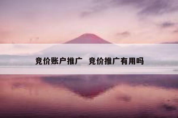 竞价账户推广  竞价推广有用吗