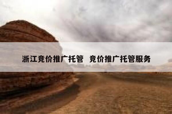 浙江竞价推广托管  竞价推广托管服务