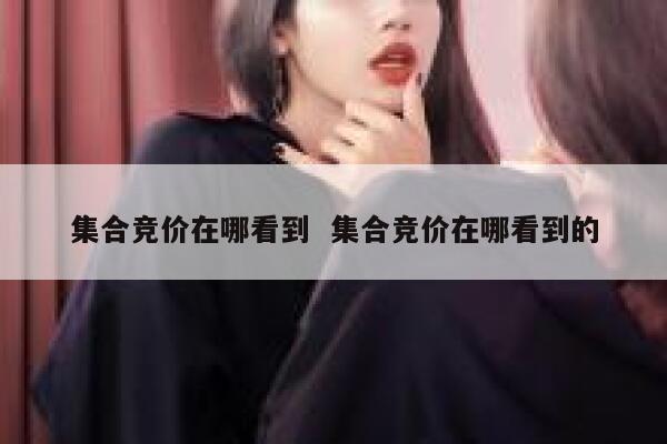 集合竞价在哪看到  集合竞价在哪看到的