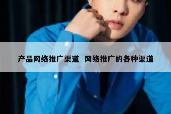 产品网络推广渠道  网络推广的各种渠道