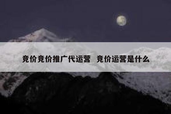 竞价竞价推广代运营  竞价运营是什么