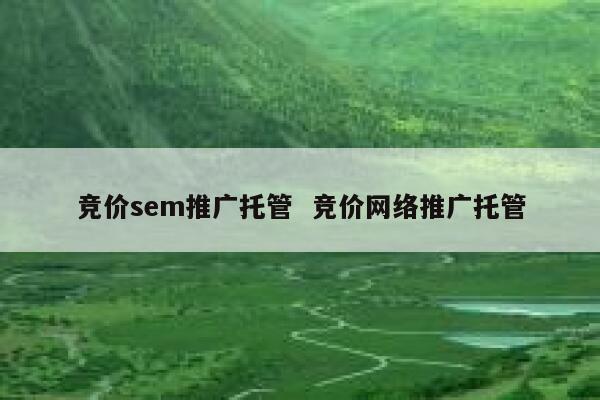 竞价sem推广托管  竞价网络推广托管