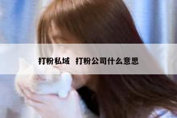 打粉私域  打粉公司什么意思