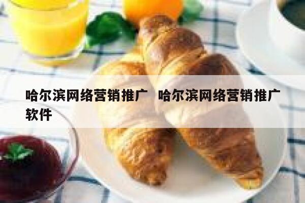 哈尔滨网络营销推广  哈尔滨网络营销推广软件