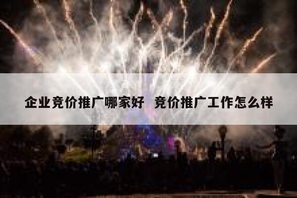企业竞价推广哪家好  竞价推广工作怎么样