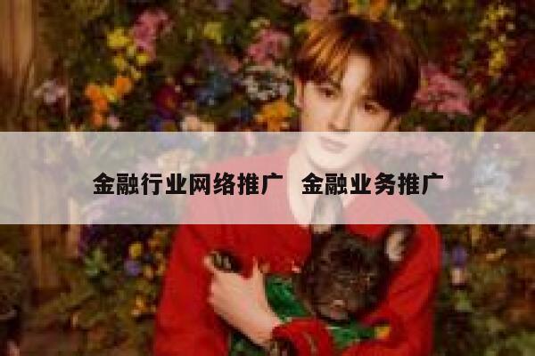 金融行业网络推广  金融业务推广